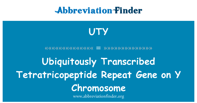 UTY: Ubiquitously Transcribed Tetratricopeptide Repeat Gene on Y Chromosome