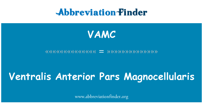 VAMC: Ventralis Anterior Pars Magnocellularis