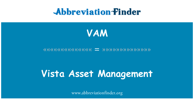 VAM: Rheoli asedau Vista