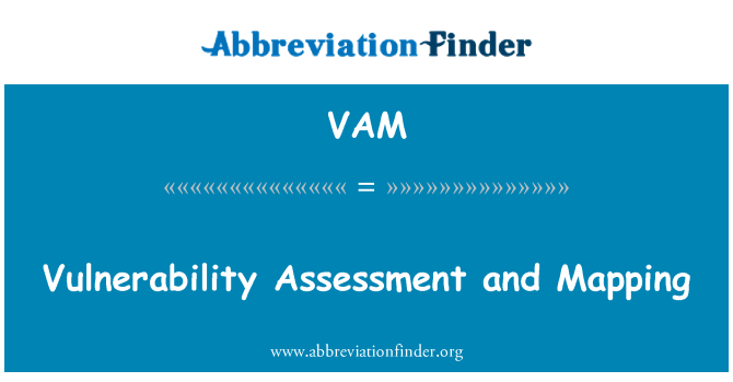 VAM: การประเมินความเสี่ยงและการแม็ป