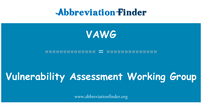 VAWG: 脆弱性评估工作组
