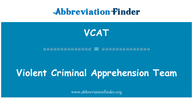 VCAT: 暴力的な犯罪不安チーム