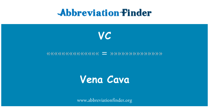 VC: Vena Cava