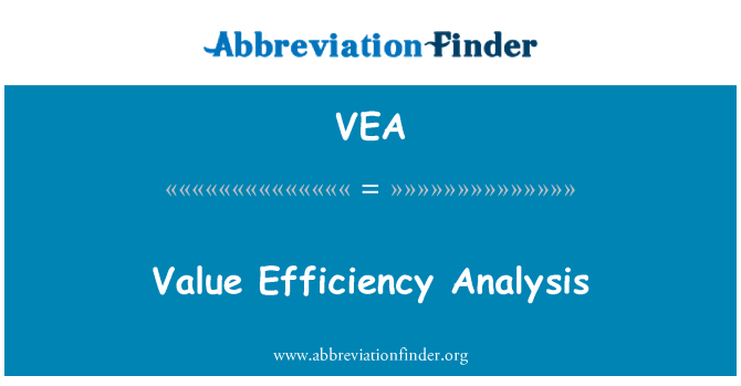VEA: Analisi di efficienza del valore