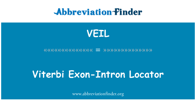 VEIL: Viterbi Exon-Intron Locator