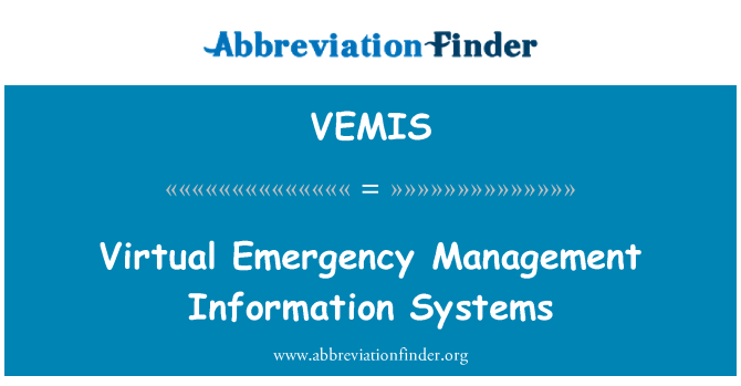 VEMIS: Sanal Acil Durum Yönetim Bilişim Sistemleri