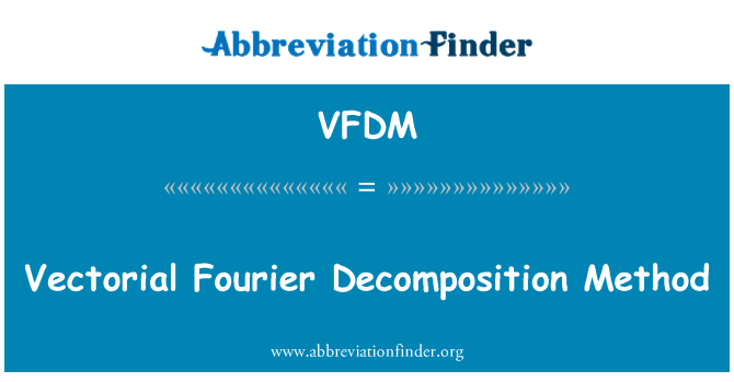 VFDM: Vectorial Fourier Decomposition Method