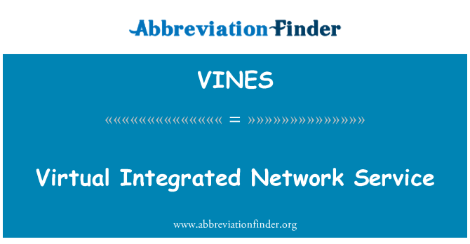 VINES: Servizio di rete virtuale integrato
