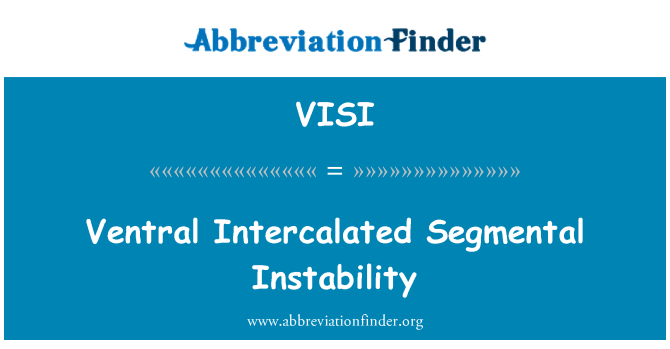 VISI: Ventral intercalat segmentar instabilitatea