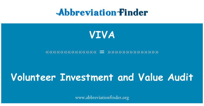 VIVA: Frivillige investeringer og værdi revision