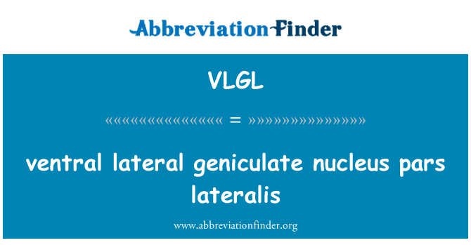 VLGL: вентральной латеральное коленчатое pars lateralis