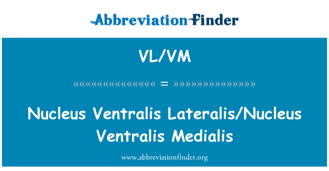 VL/VM: Medialis Ventralis Ventralis Lateralis/นิวเคลียส นิวเคลียส