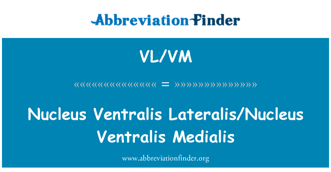 VL/VM: Inti Ventralis Lateralis/inti Ventralis Medialis