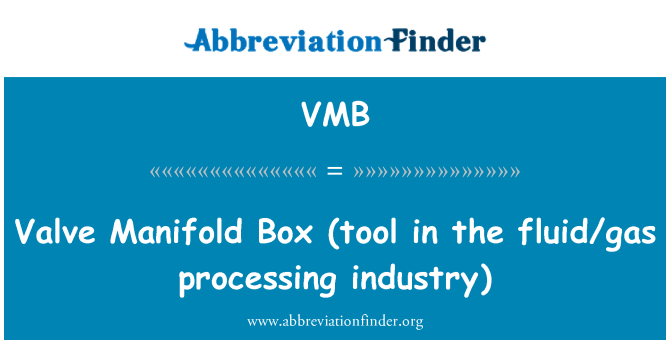 VMB: Valve Manifold Box (tool in the fluid/gas processing industry)
