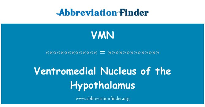 VMN: Ventromedial çekirdek hipotalamus