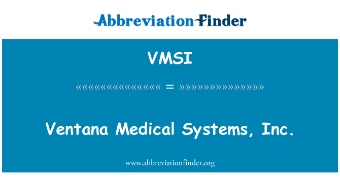 VMSI: Ventana Medical Systems, Inc