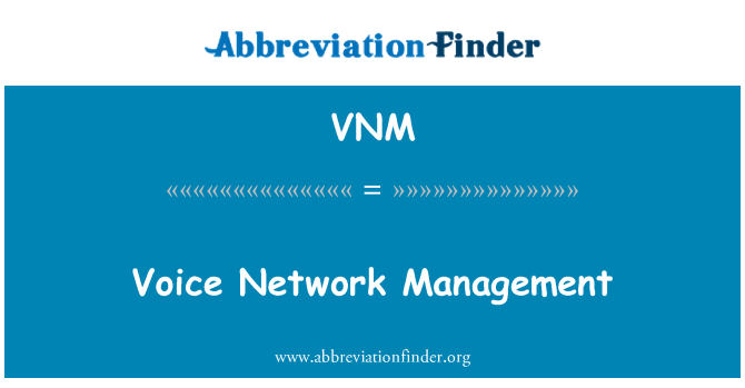 VNM: Voice Network Management
