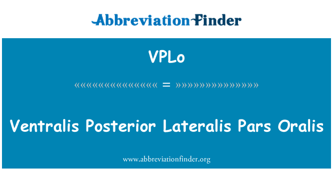 VPLo: Oralis Ventralis 후부 Lateralis에 갈 거 예요