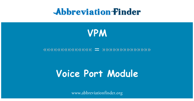 VPM: 语音端口模块