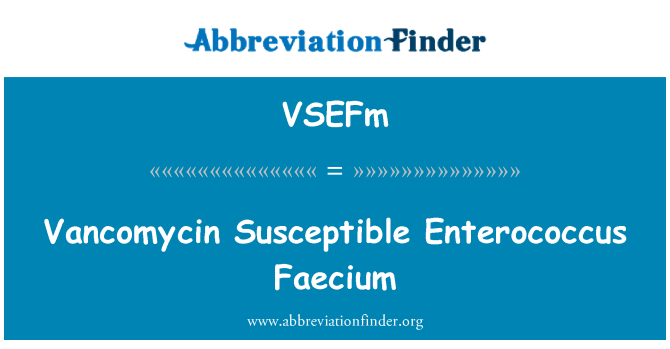 VSEFm: Vankomicīna uzņēmīgi Enterococcus Faecium