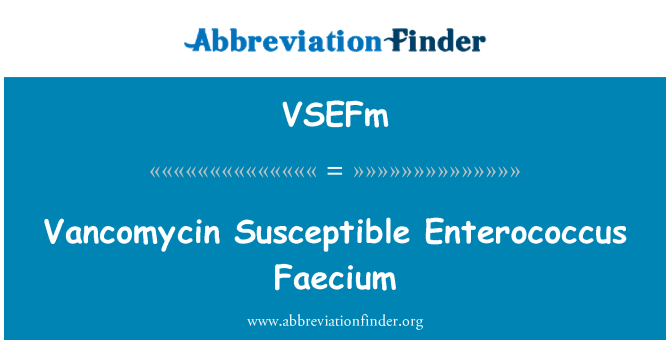 VSEFm: Vancomycin sansib Enterococcus Faecium
