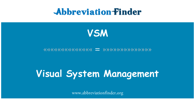 VSM: Gestió del sistema visual