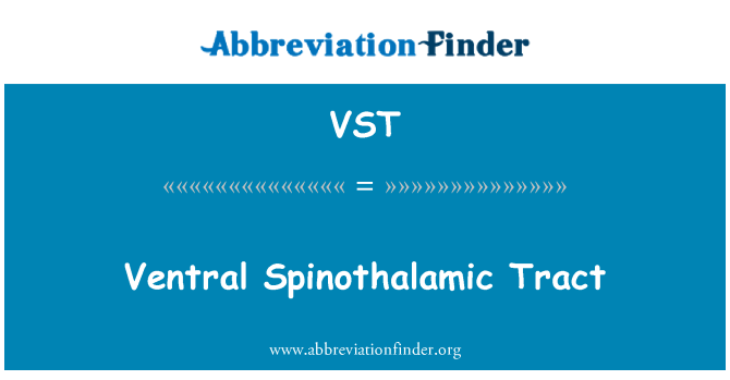 VST: Ventral Spinothalamic Fläche