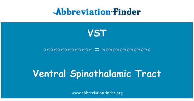 VST: בדרכי Spinothalamic הגחוני