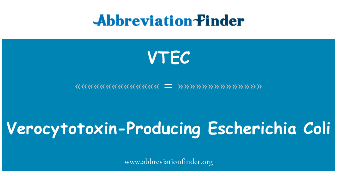 VTEC: Verocytotoxin produkovat Escherichia Coli