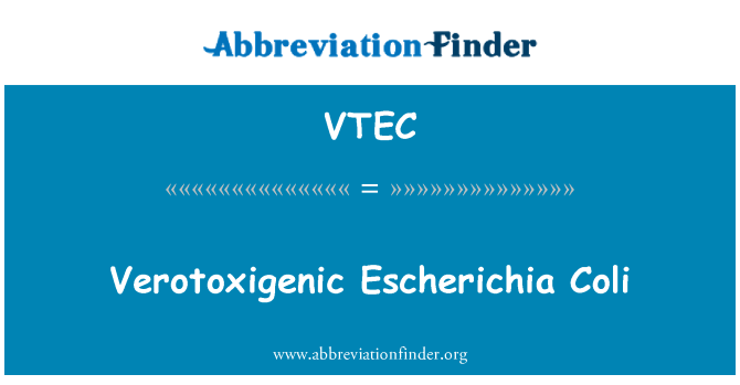 VTEC: Verotoksična Escherichia Coli