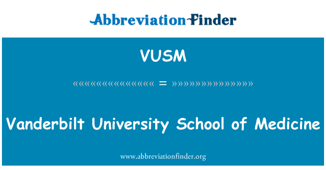 VUSM: 밴 더 빌 트 대학의 학부