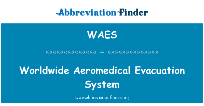 WAES: 전세계 Aeromedical 배출 시스템