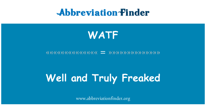 WATF: Bem e verdadeiramente assustado...