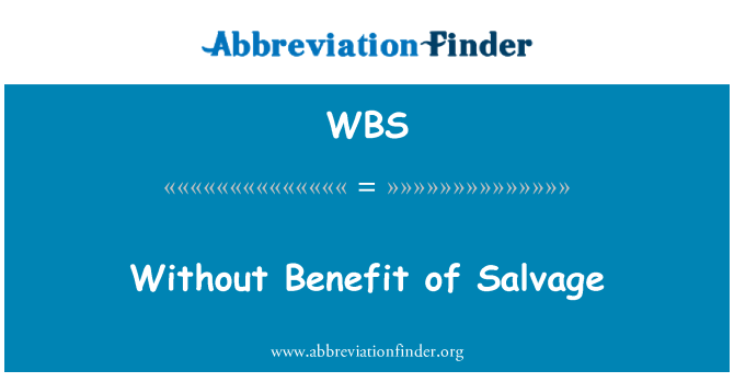 WBS: Without Benefit of Salvage