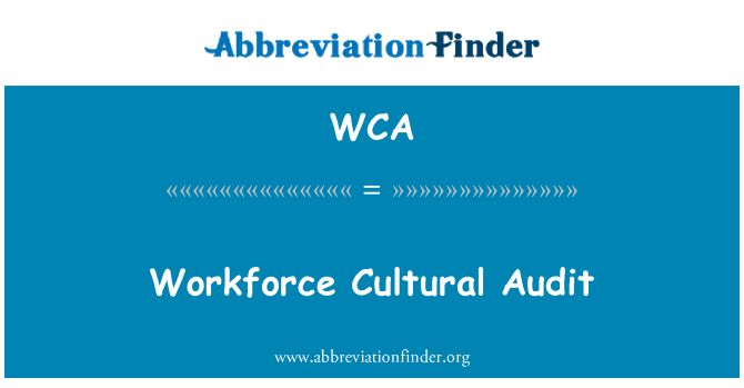 WCA: 인력 문화 감사