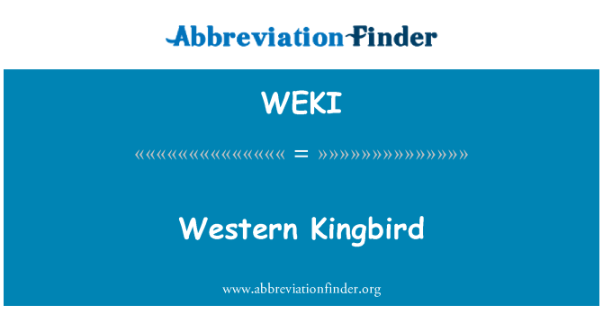 WEKI: Kingbird המערבי