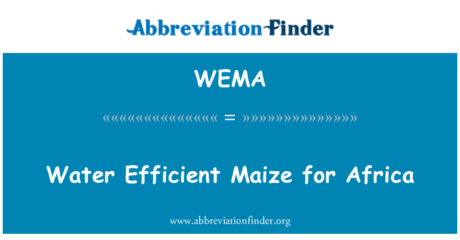 WEMA: Mais efficiente di acqua per l'Africa