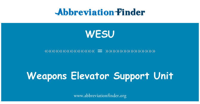 WESU: หน่วยสนับสนุนร้านอาวุธ