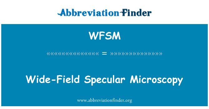 WFSM: Wide-felt spejlende mikroskopi