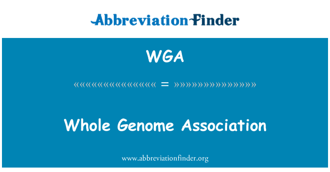 WGA: 全基因组协会