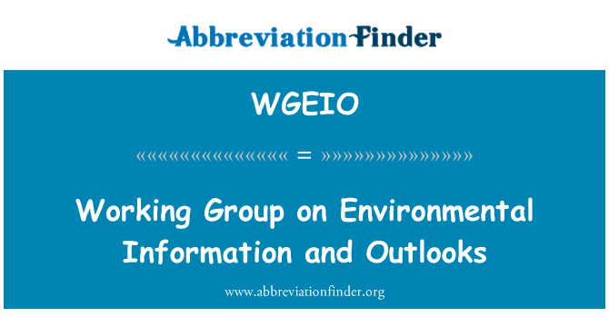 WGEIO: Grup de treball sobre informació ambiental i perspectives
