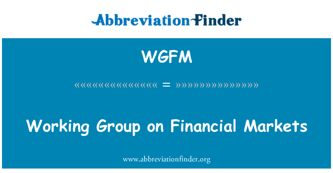 WGFM: Working Group on Financial Markets