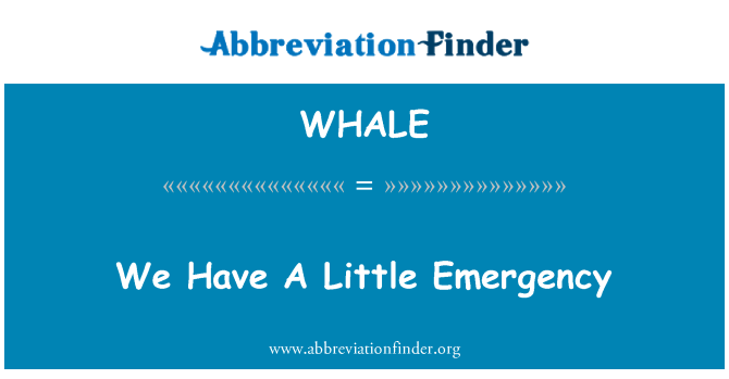 WHALE: Meil on väike avarii