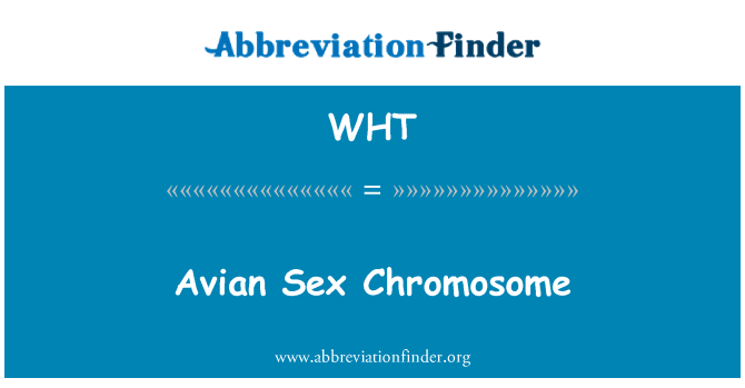 WHT: Burung kromosom seks