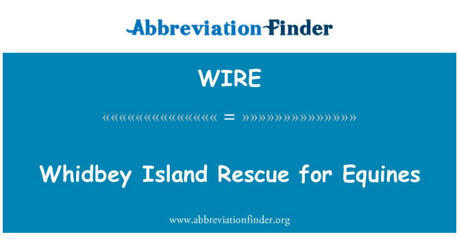 WIRE: Resgate de Whidbey Island para equinos