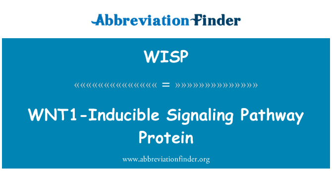 WISP: WNT1-inducibilní signalizačné dráhy bielkovín