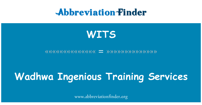 WITS: Wadhwa Ingenious Training Services