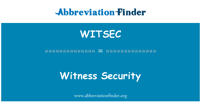 WITSEC: Vidne sikkerhed