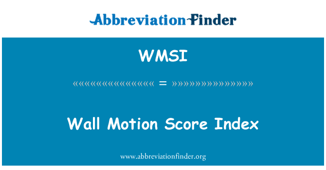 WMSI: Wand Motion Score Index