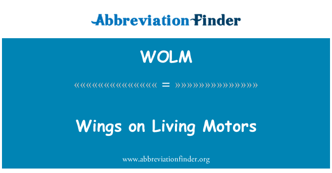 WOLM: Křídla na živé motory